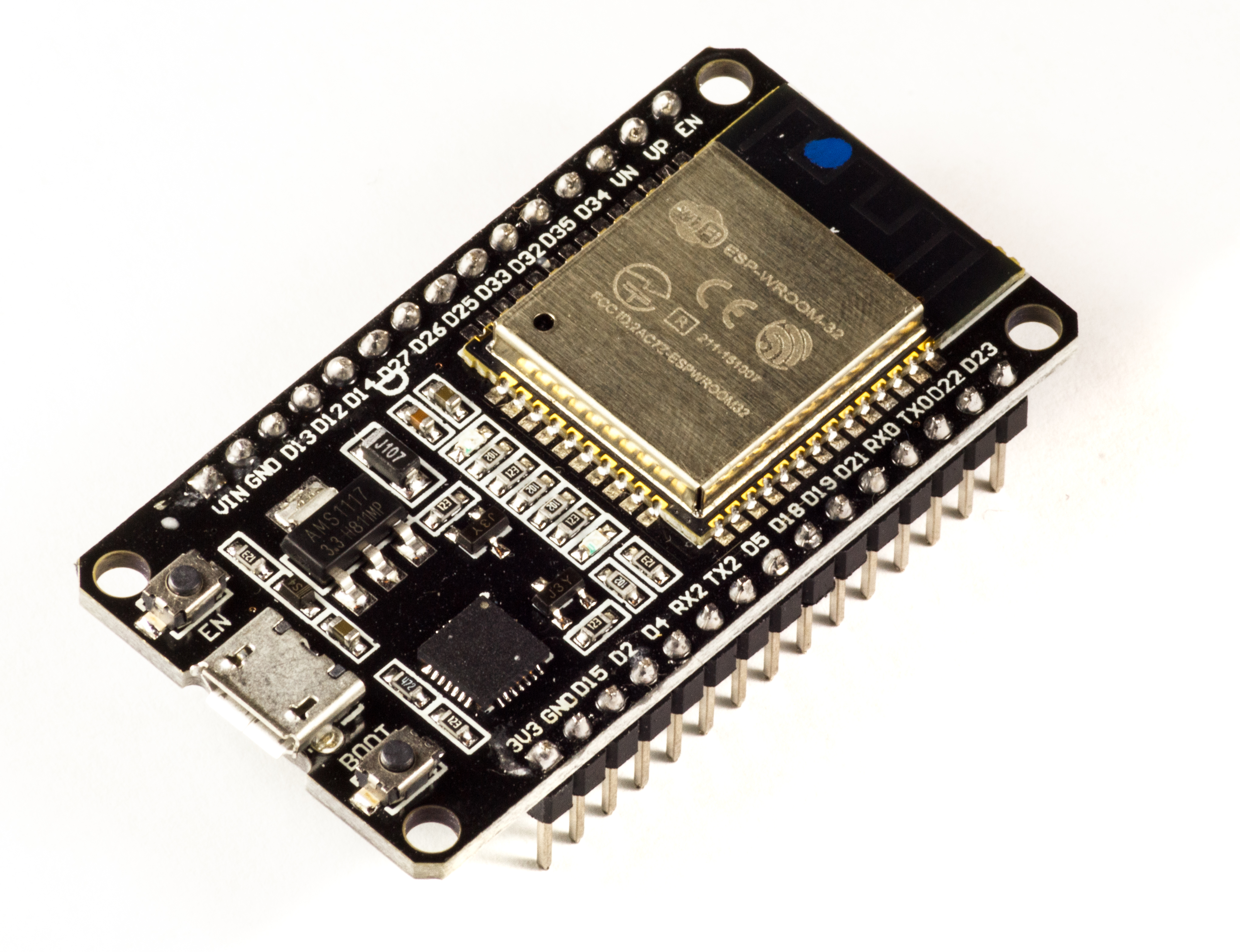 ESP32 development board