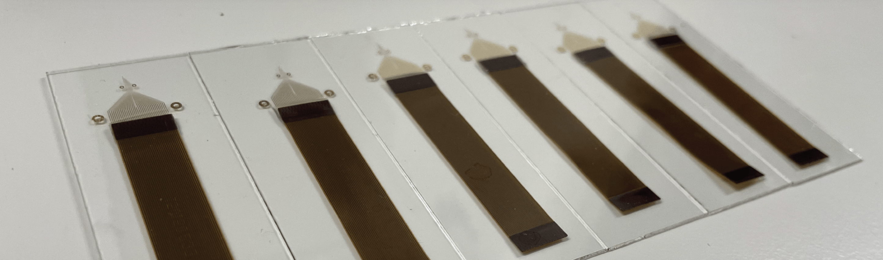 PEDOT:PSS electrode array on glass substrate